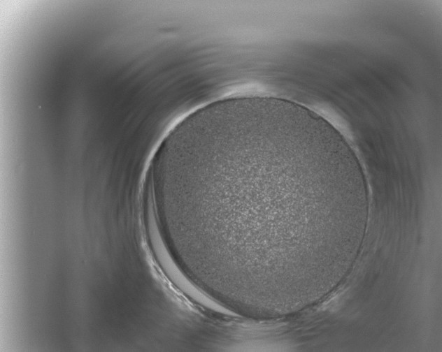 X0000061731008200512050928