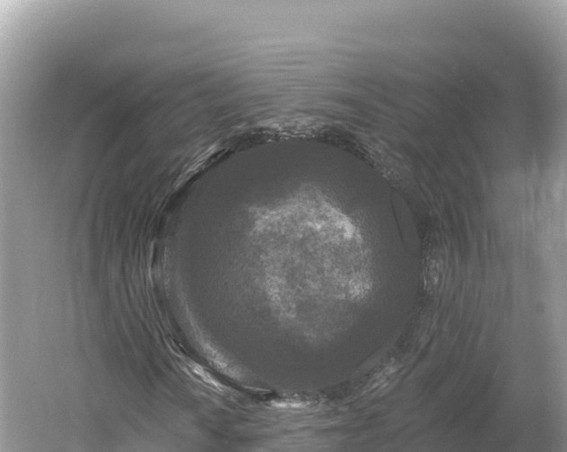 X0000061731010200512050927