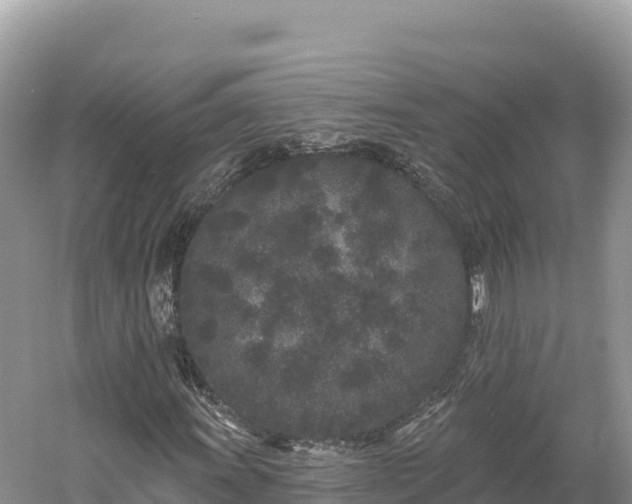 X0000061731011200512050927