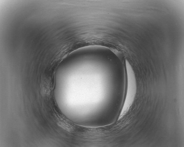 X0000061731012200512050927