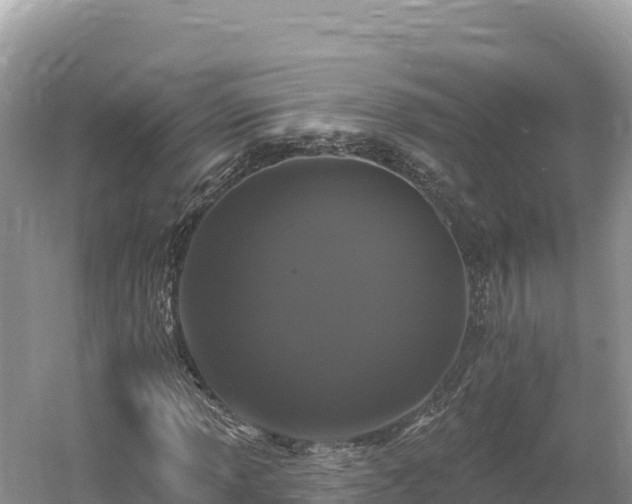 X0000061731013200512050928