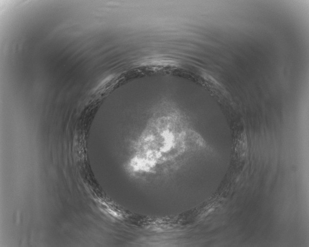 X0000061731014200512050928