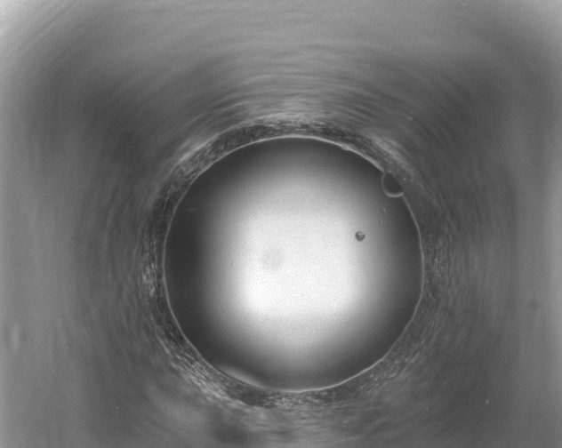 X0000061731015200512050928