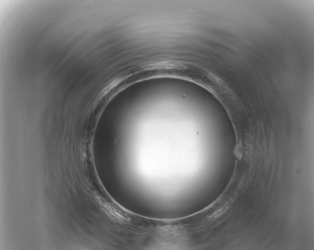 X0000061731017200512050928