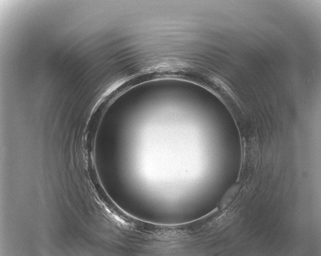 X0000061731018200512050928