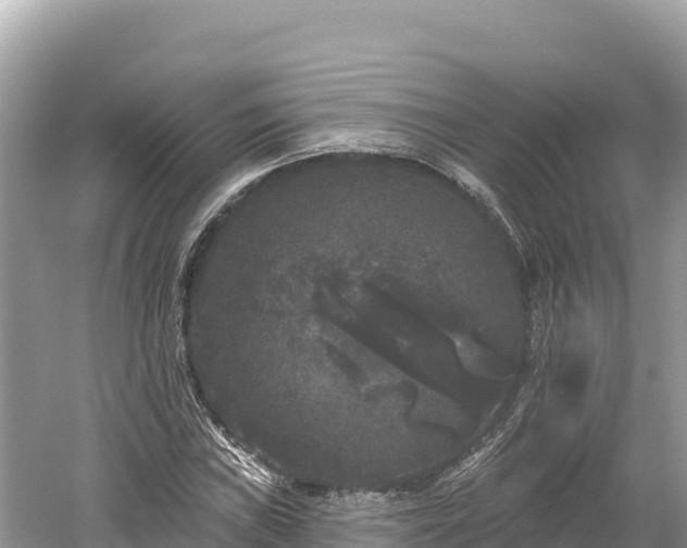 X0000061731019200512050928