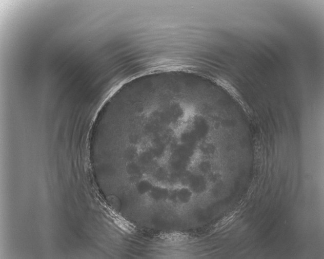 X0000061731023200512050928