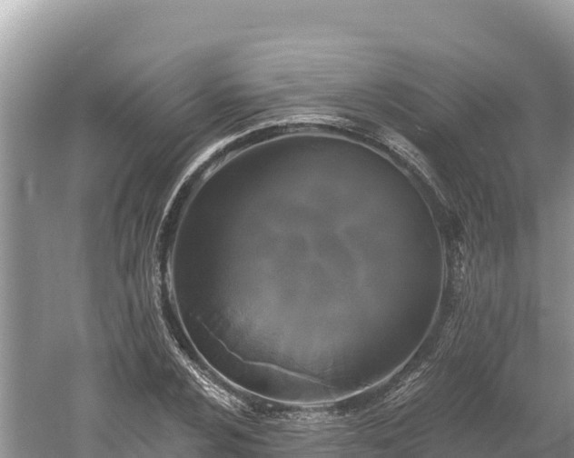 X0000061731024200512050928