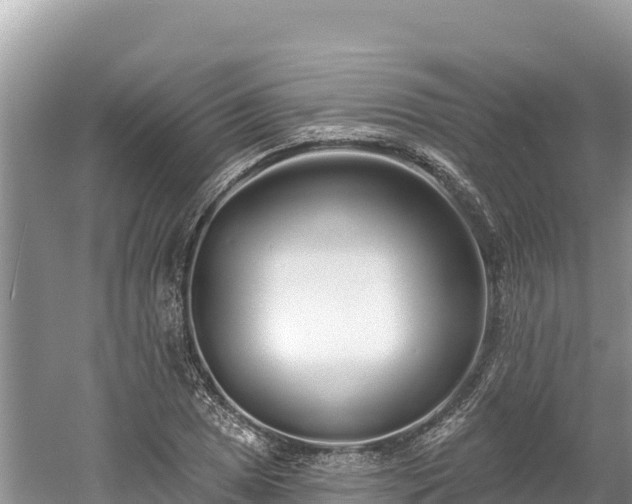 X0000061731025200512050928