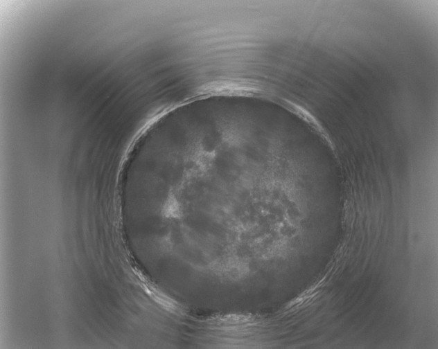 X0000061731027200512050928