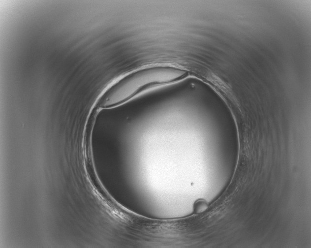 X0000061731028200512050928