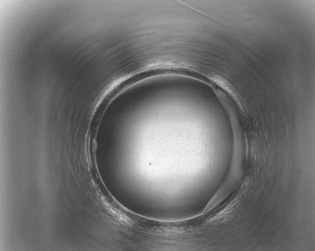 X0000061731030200512050928