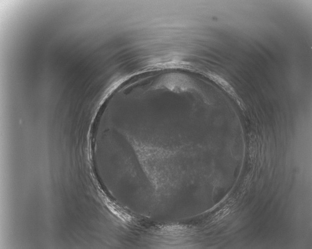 X0000061731031200512050928