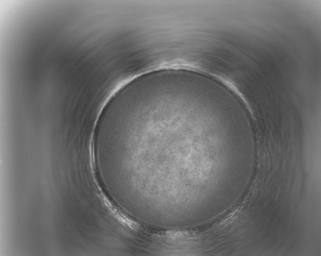 X0000061731032200512050928