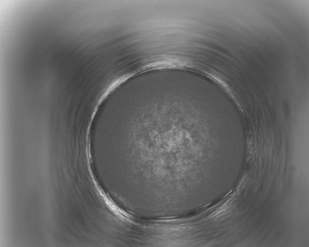 X0000061731034200512050928