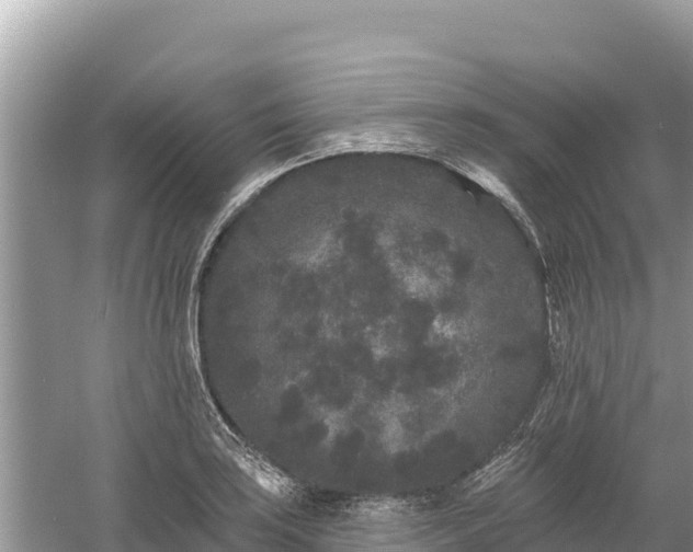 X0000061731035200512050928