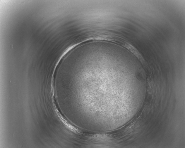 X0000061731036200512050928