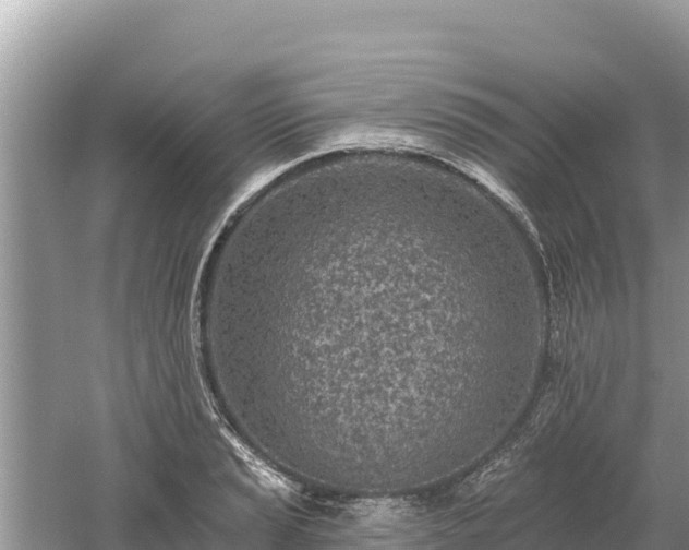 X0000061731037200512050928