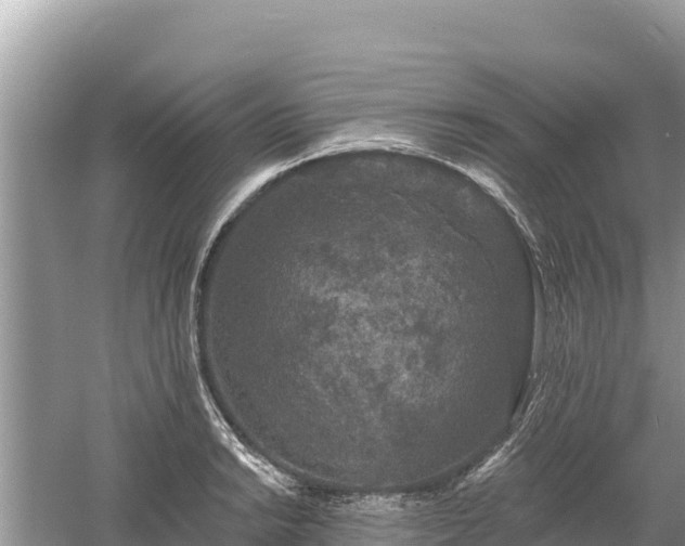 X0000061731038200512050928