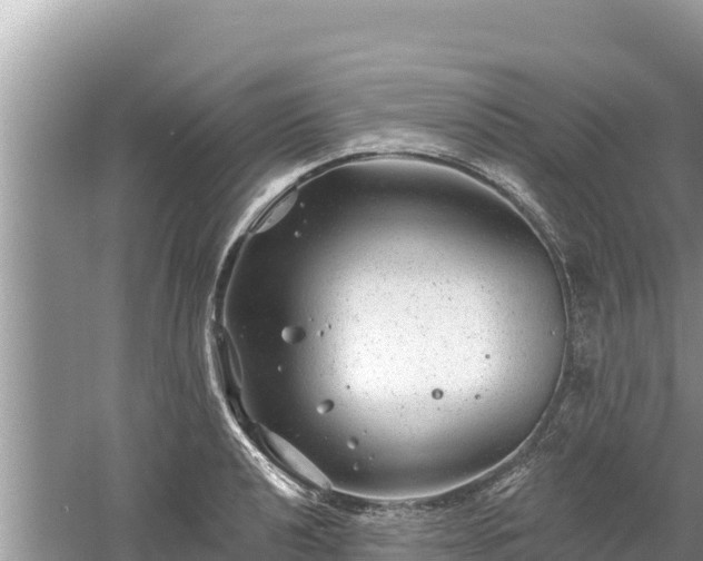 X0000061731040200512050928