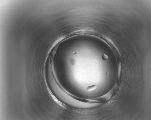 X0000061731042200512050928