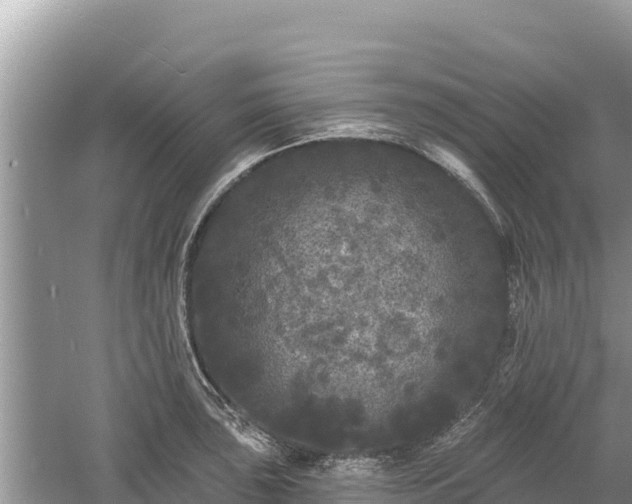 X0000061731043200512050928