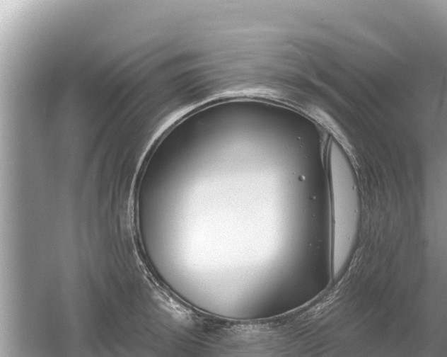 X0000061731044200512050928