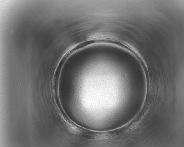 X0000061731045200512050928