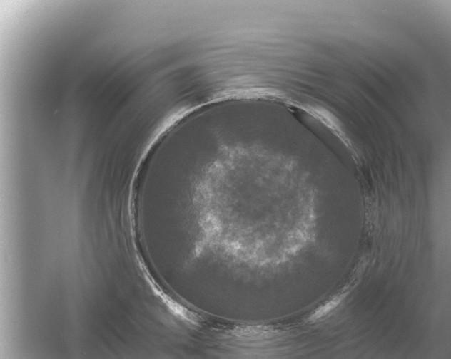 X0000061731046200512050928