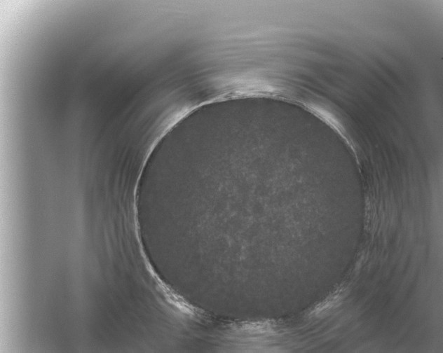 X0000061731047200512050928