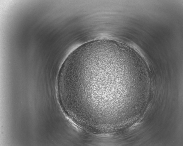 X0000061731048200512050928