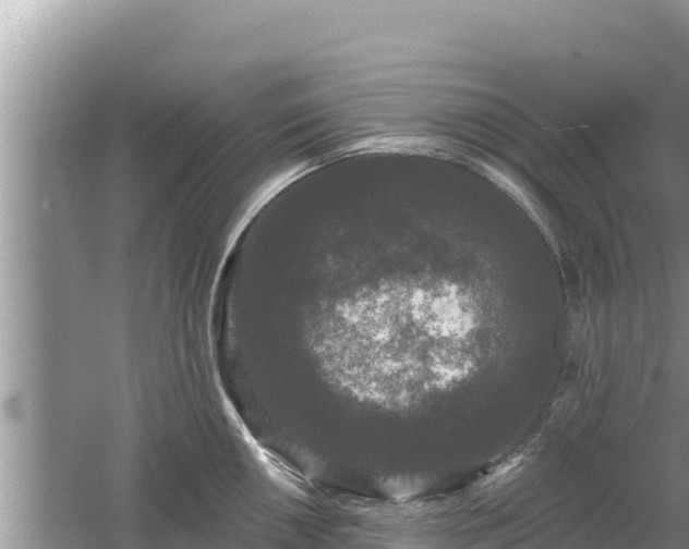 X0000061731050200512050928