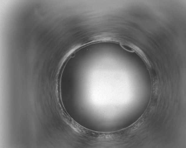 X0000061731051200512050928