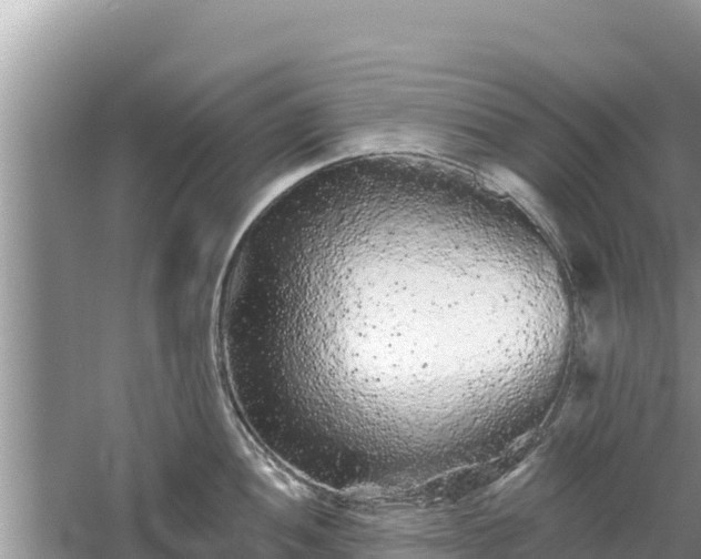 X0000061731052200512050928