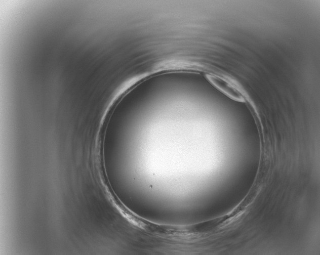 X0000061731053200512050928