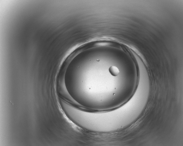 X0000061731054200512050928