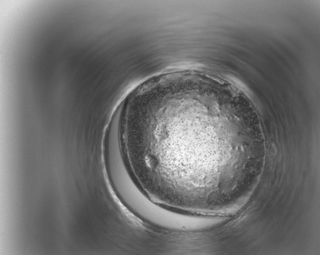 X0000061731055200512050928