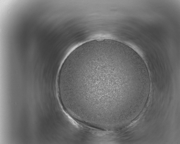 X0000061731056200512050928