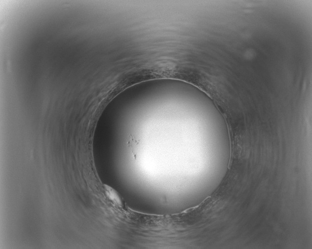 X0000061731057200512050927