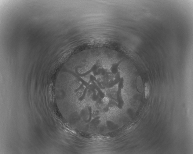 X0000061731059200512050927