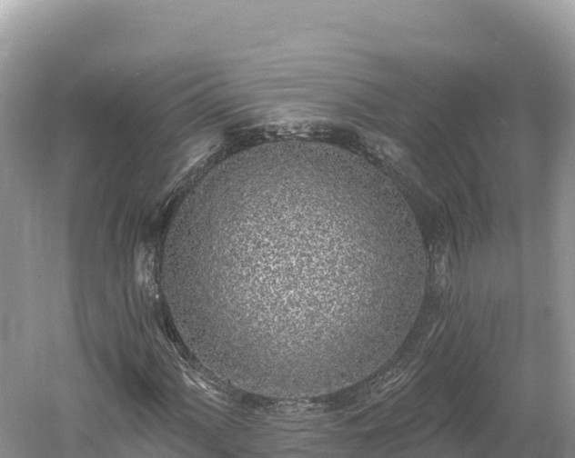 X0000061731060200512050927