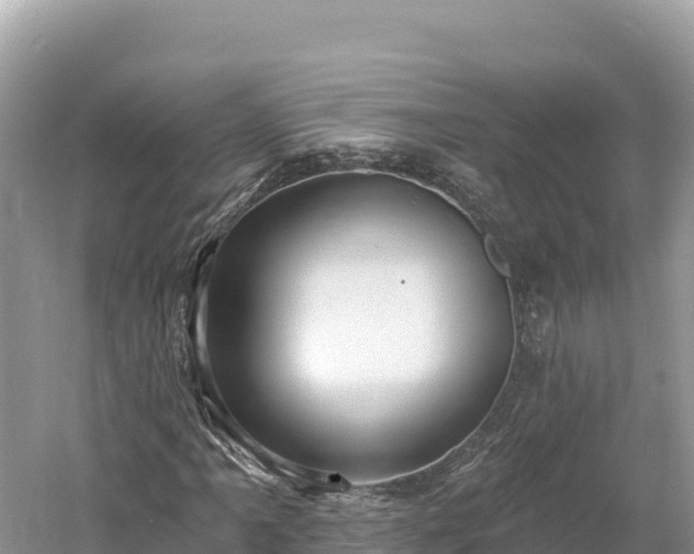 X0000061731061200512050927