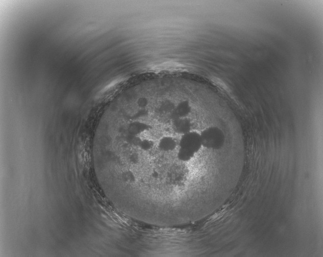 X0000061731063200512050927