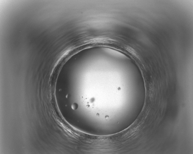 X0000061731067200512050927