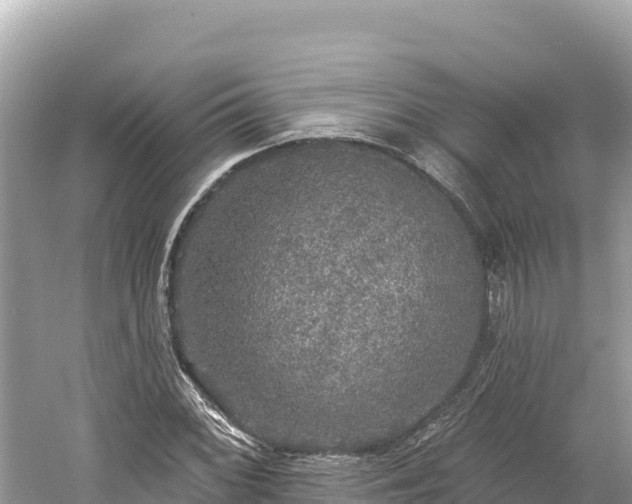 X0000061731068200512050927