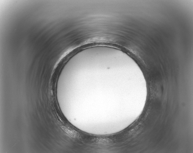 X0000061731070200512050927