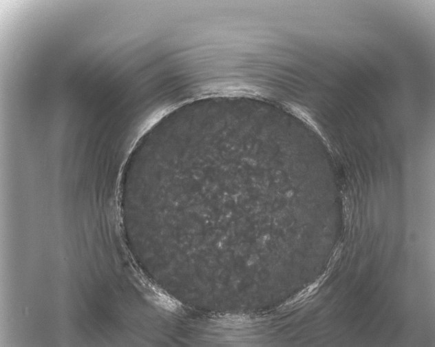 X0000061731071200512050927