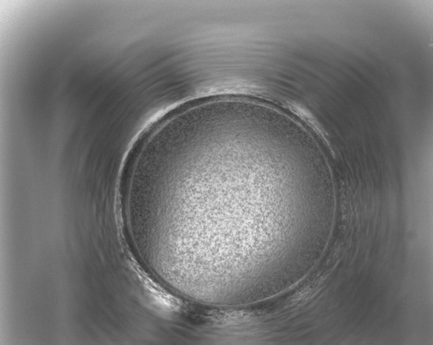 X0000061731072200512050927