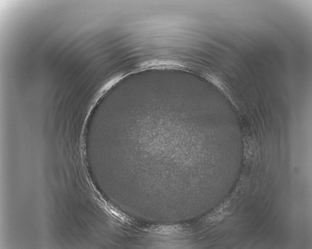 X0000061731074200512050927