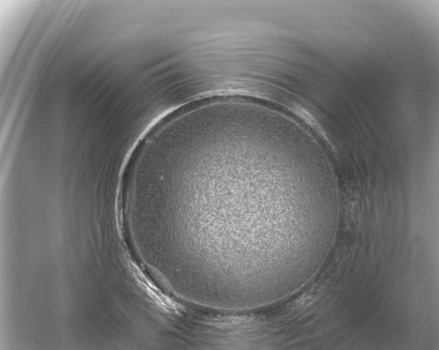 X0000061731076200512050927